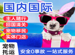 宁远航空物流国际宠物托运 【国